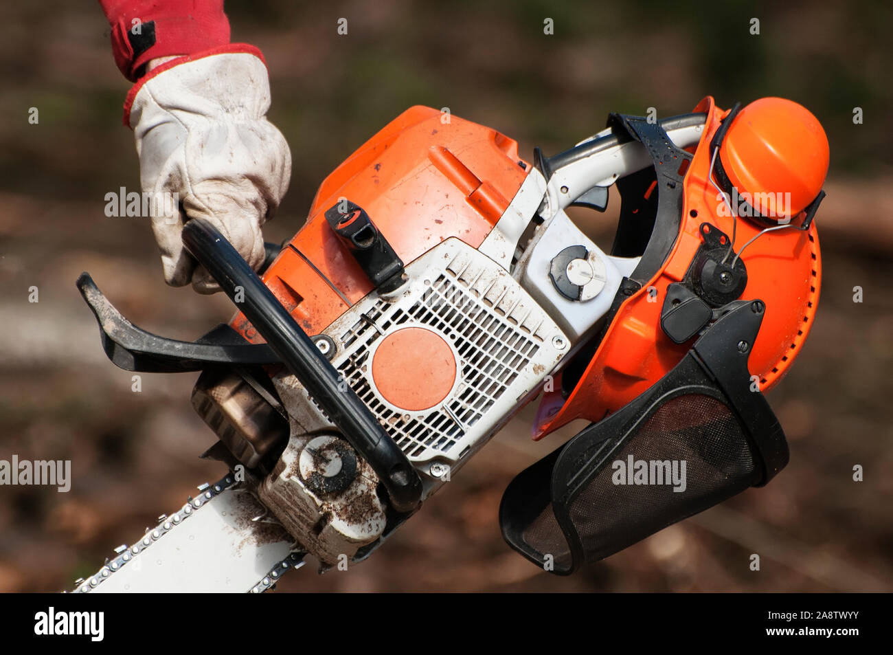 Closeup of forestry worker's left hand holding a chainsaw and protective helmet with ear muffs resting on it Stock Photo
