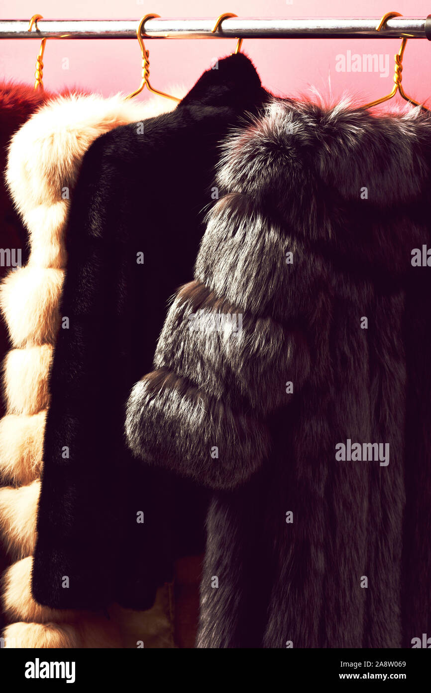 fashionable luxurious waist coats of fur hanging on rack on golden ...