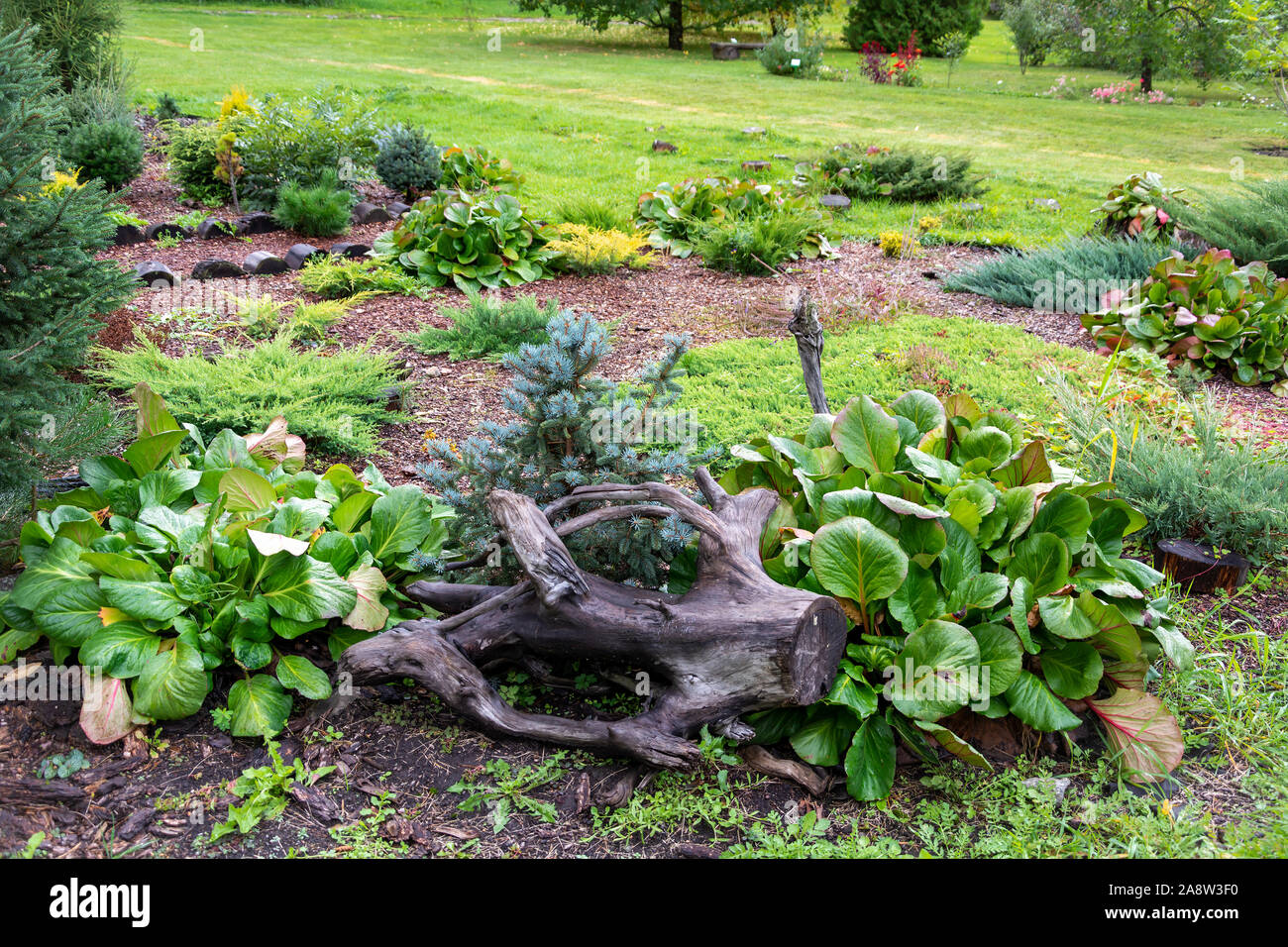 Decorative leaf border hi-res stock photography and images - Alamy
