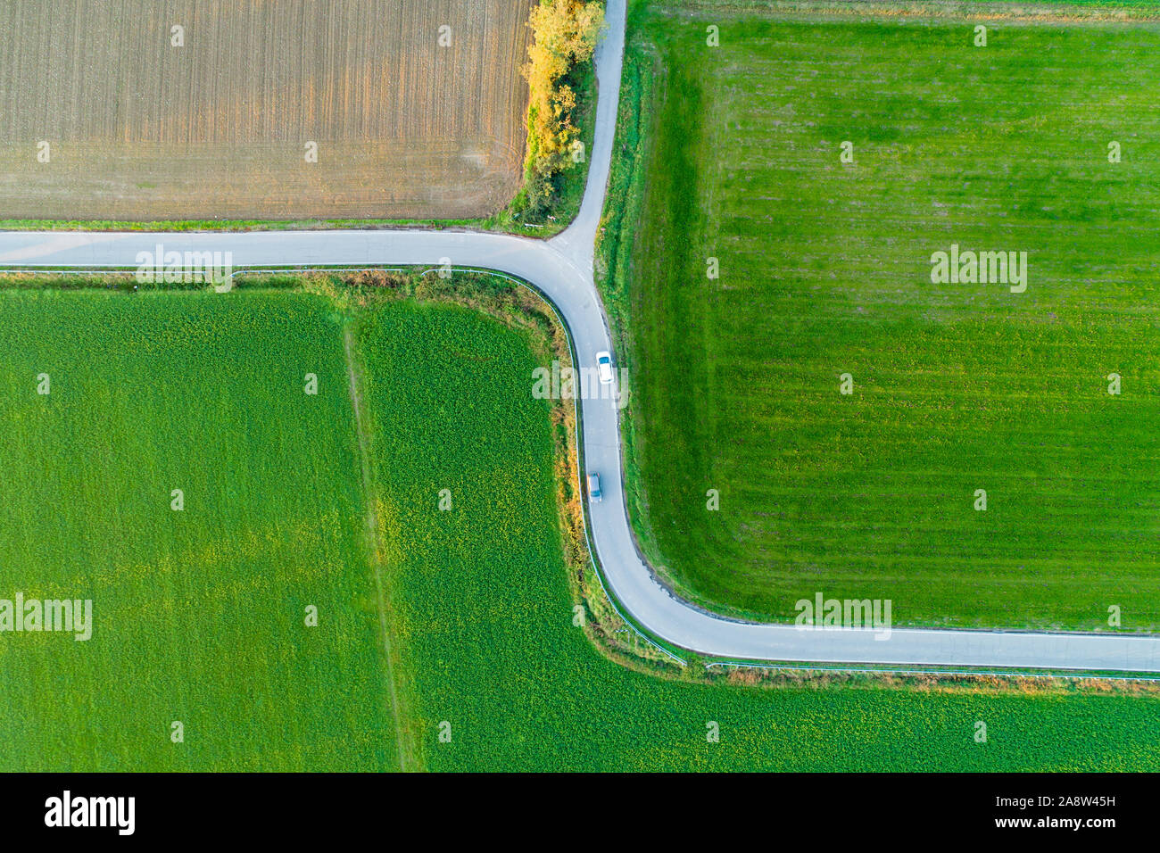 Small country road between green meadows with 2 curves and 2 cars seen from above. Bird's eye view. Stock Photo