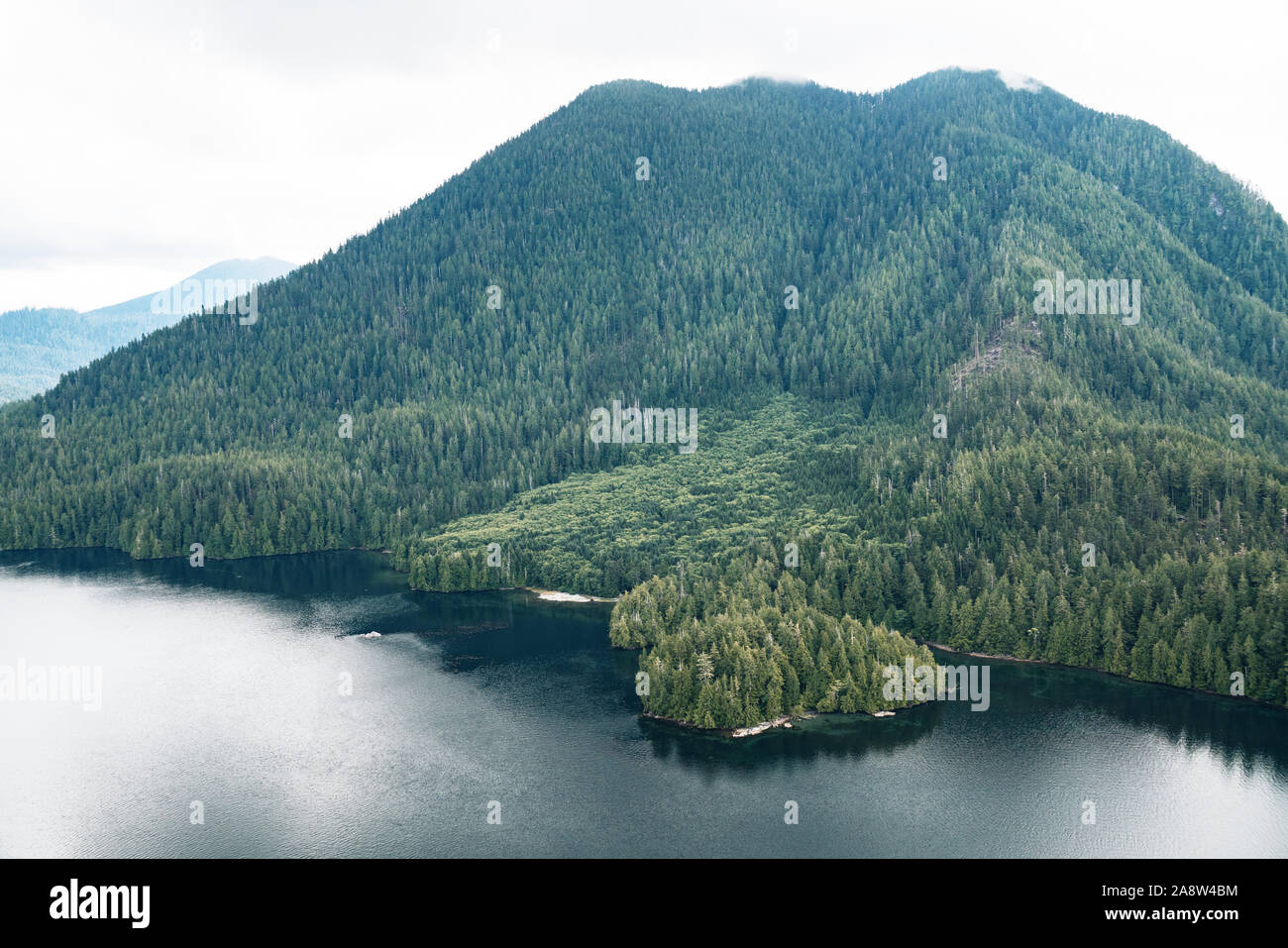 Scenic flight above Tofino Harbour, Vancouver Island. British Columbia