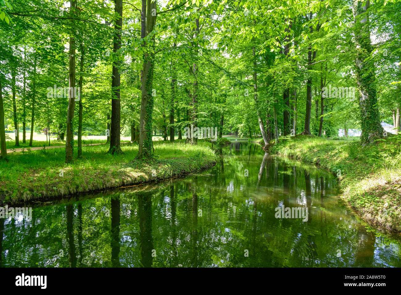 Kanal, Fürst-Pückler-Park Branitz, Cottbus, Brandenburg, Deutschland Stock Photo