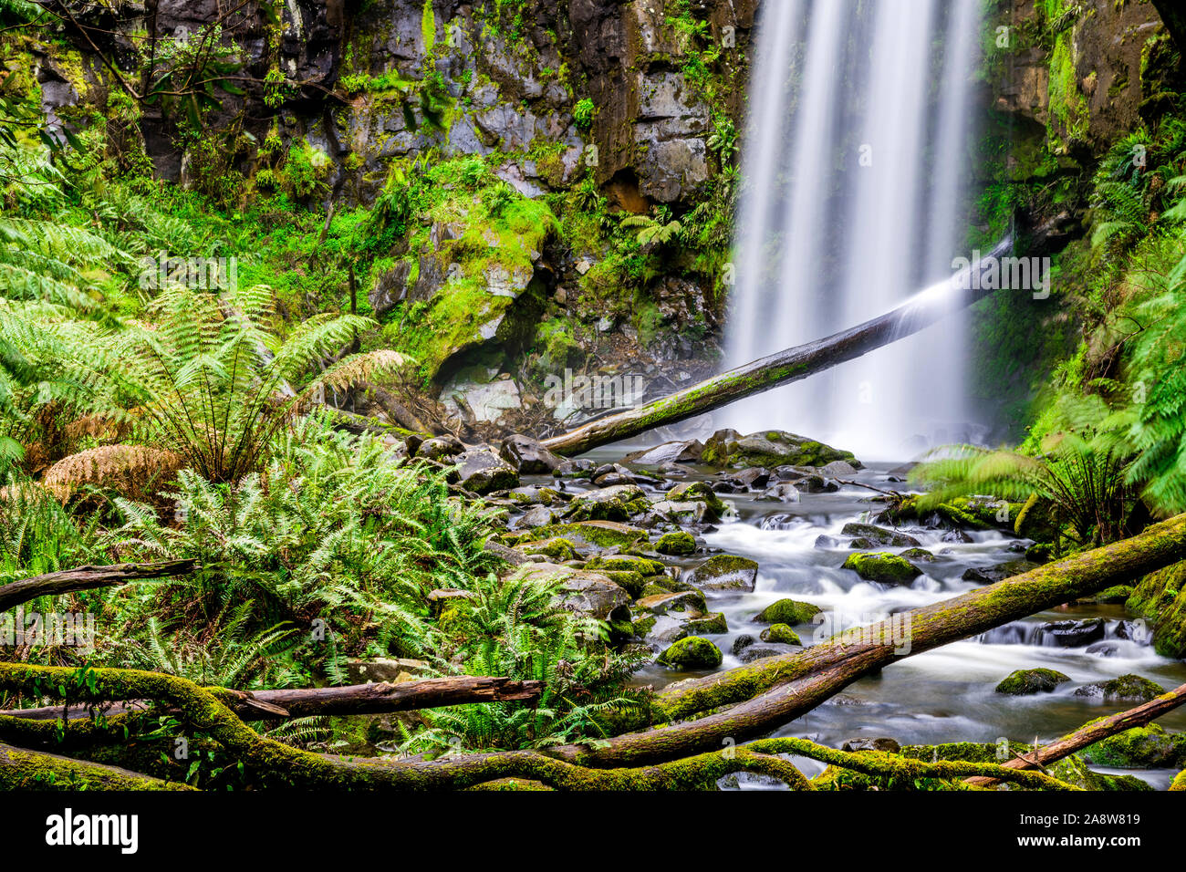 Hopetoun Falls in Otway National Park in Victoria, Australia Stock Photo Alamy