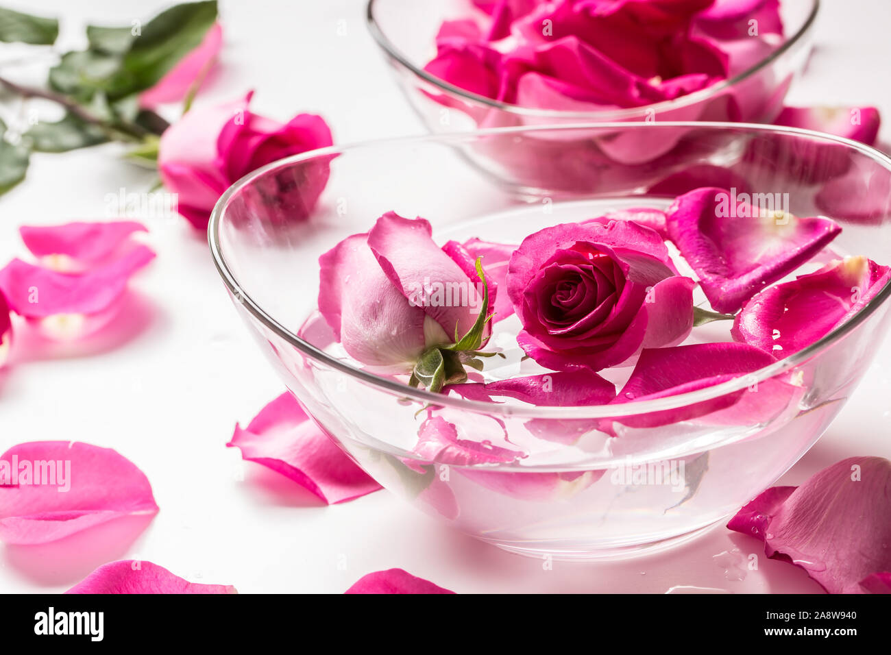 Pink roses petals in bowl with towels and pure water over white