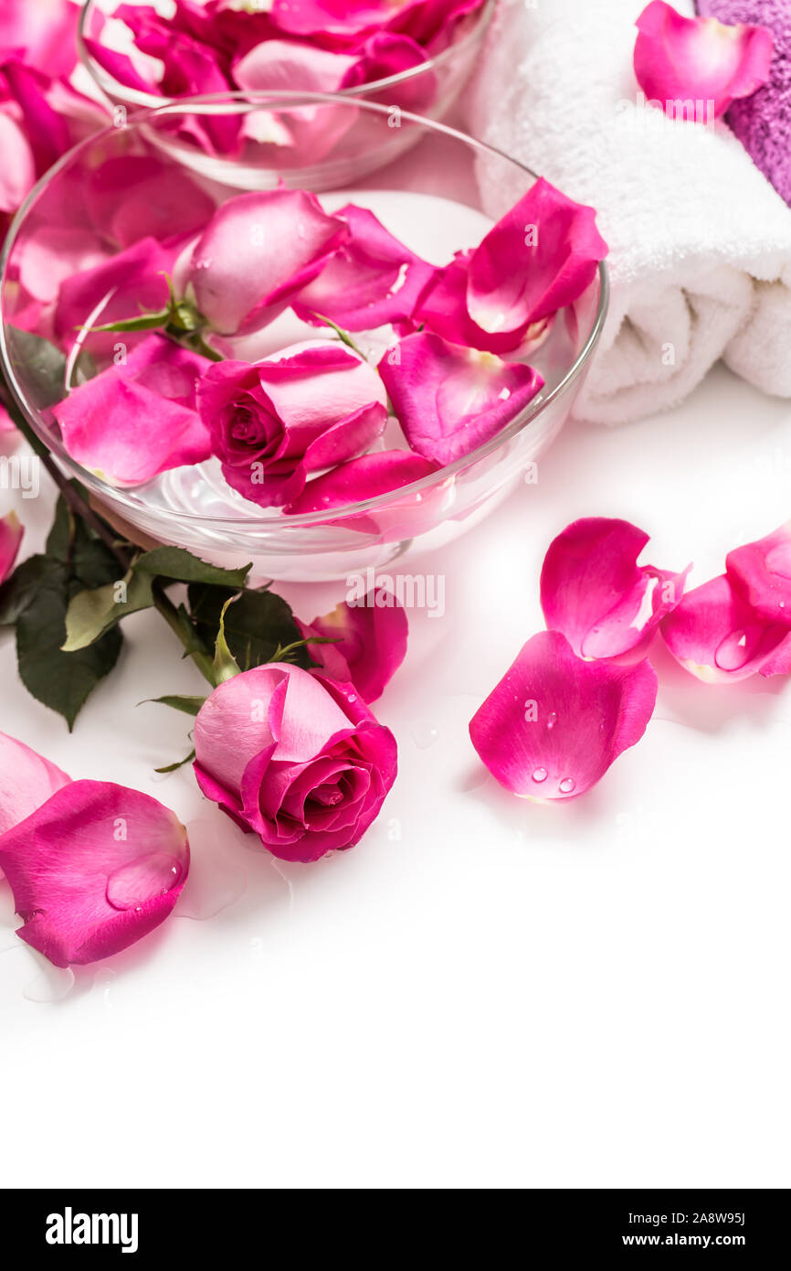 Pink roses petals in bowl with towels and pure water over white