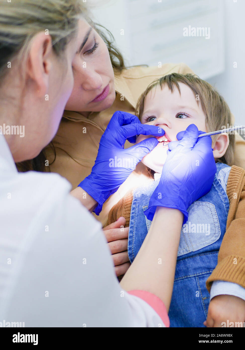 Dental examination hires stock photography and images Alamy