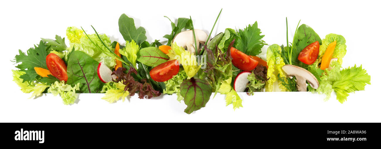 Various Salad Panorama on white Background Stock Photo