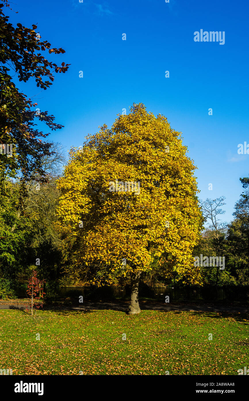 Autumn in Botanic Gardens, Southport, UK Stock Photo - Alamy