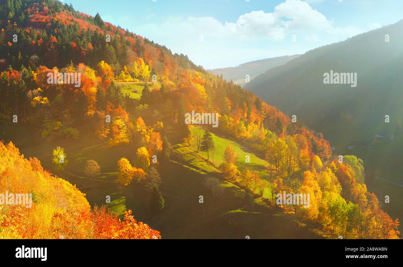 Black Forest in Autumn - Panorama Stock Photo - Alamy