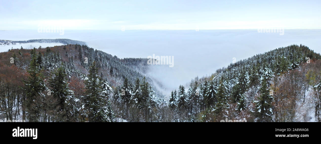 Black Forest in Wintertime - Panorama Stock Photo
