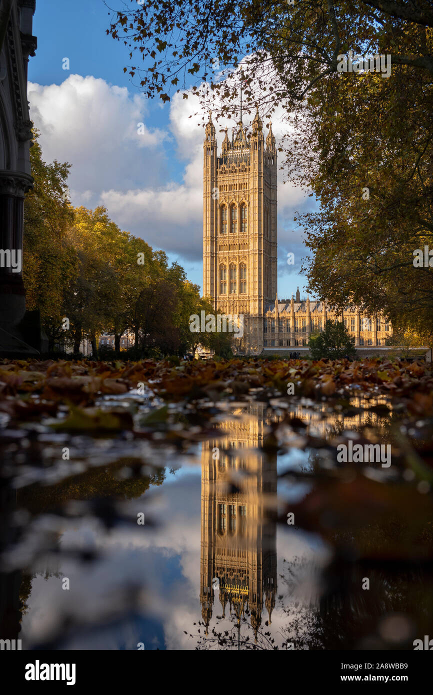 London Autumn Victoria Tower Palace of Westminster and Autumn Leaves reflected in Victoria Tower Gardens. 8 Nov 2019 The Victoria Tower is a square to Stock Photo