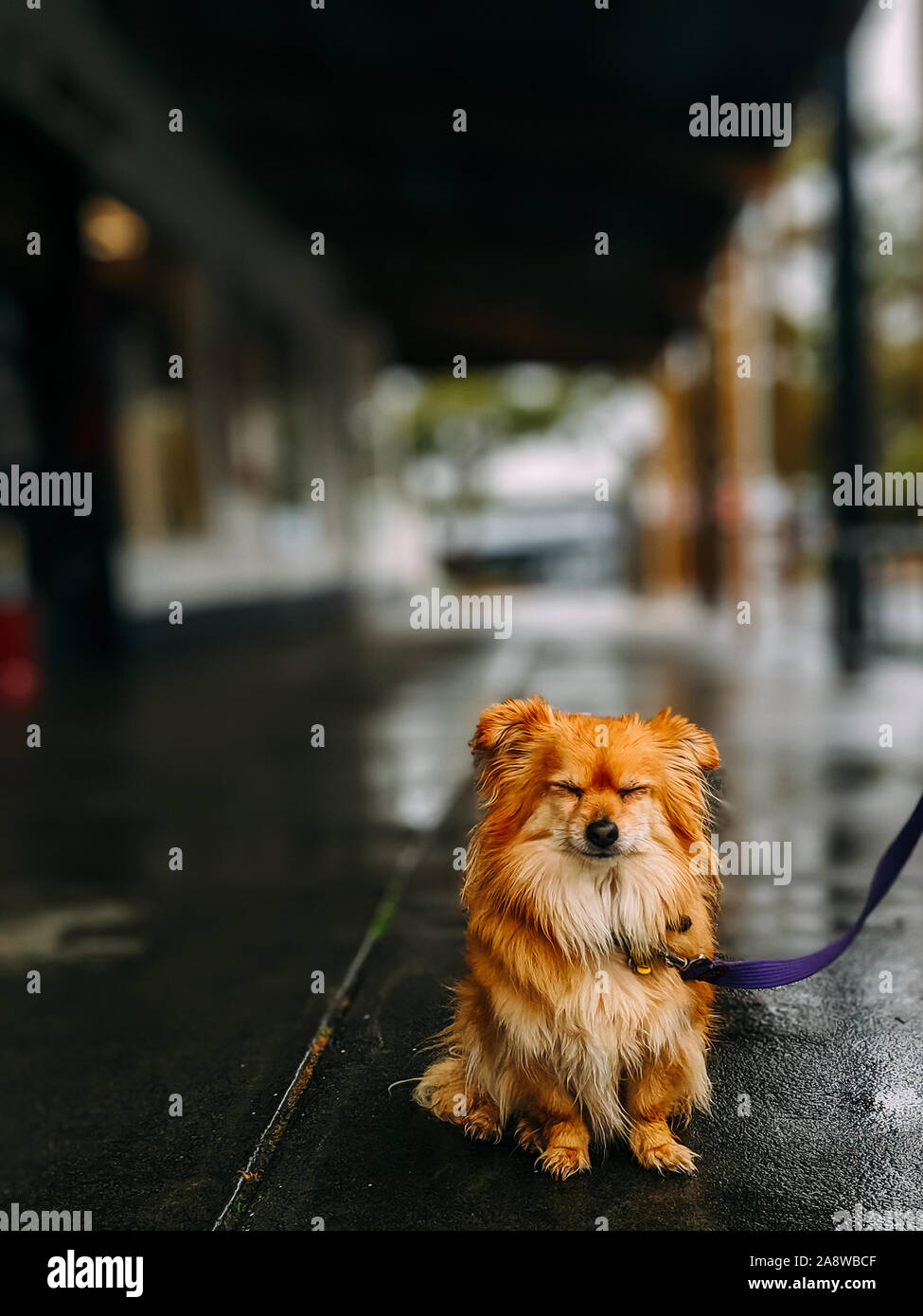 Lonely young australia hi-res stock photography and images - Alamy
