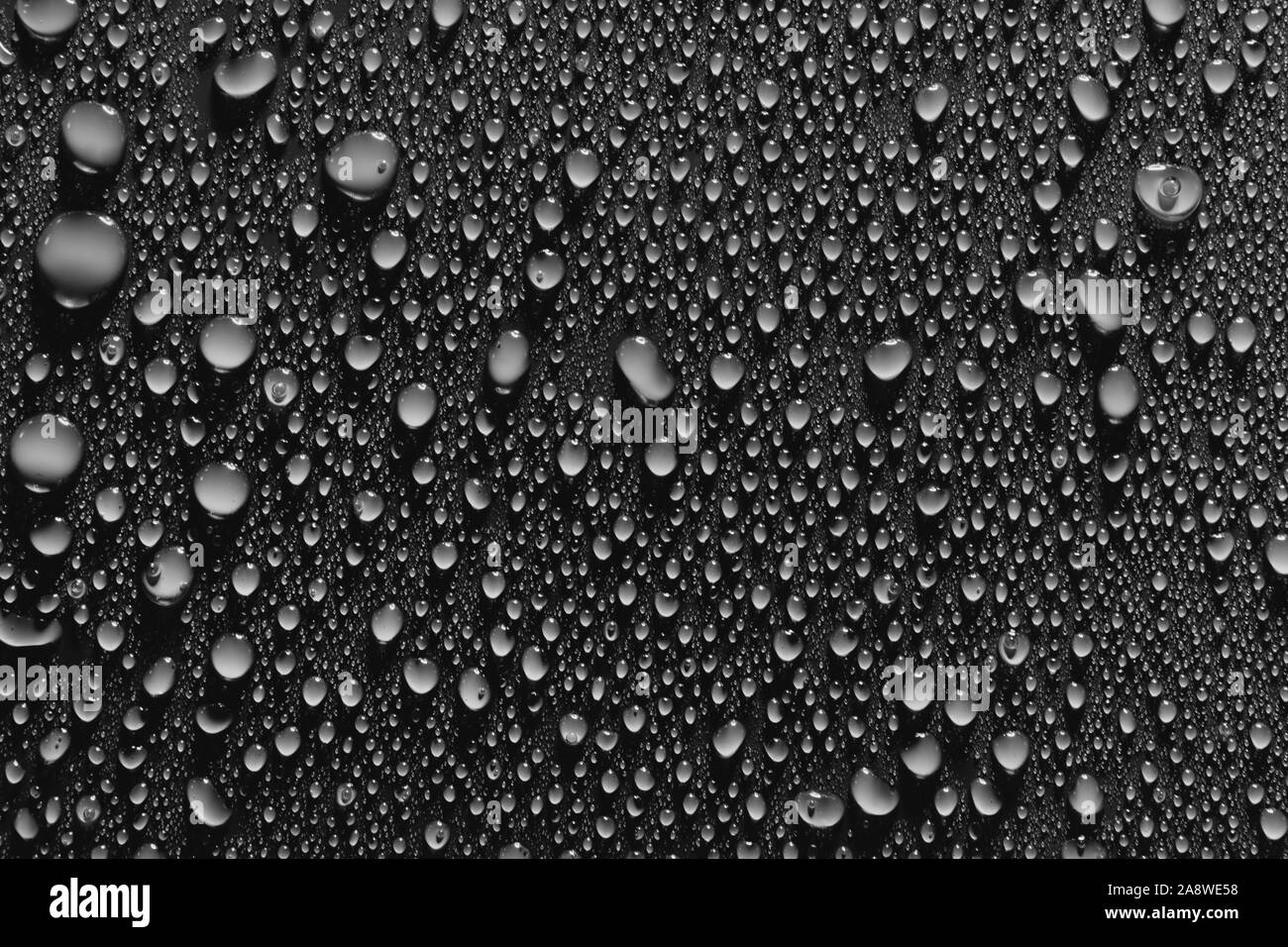 Water Drops On Smooth Surface Black Background Stock Photo Alamy