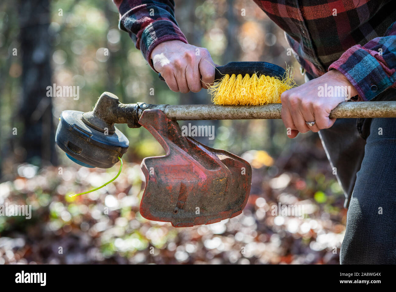 Woman's hands cleaning weed eater machine using brush Stock Photo
