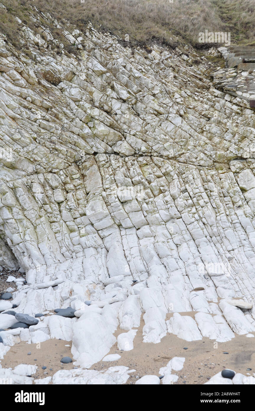 Chalk cliffs, Flamborough Head, East Yorkshire Stock Photo Alamy