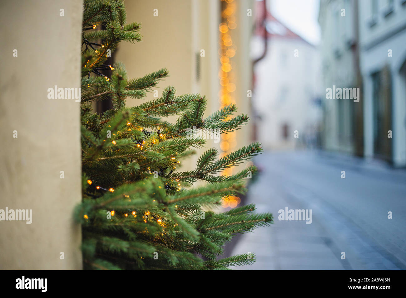 Traditional Christmas Decorations Store Christmas Trees And