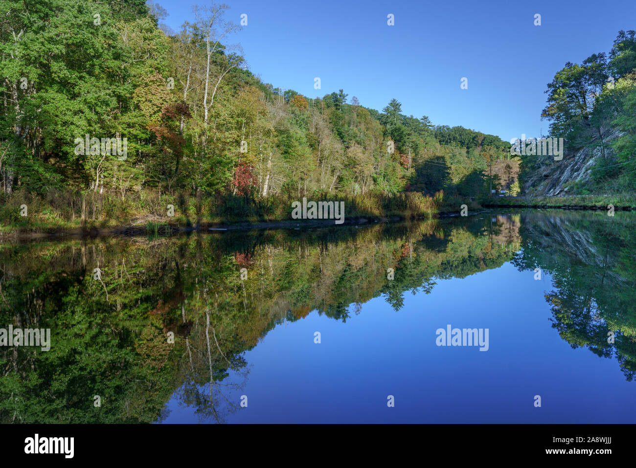Trees and mountain reflected in lake. Stock Photo