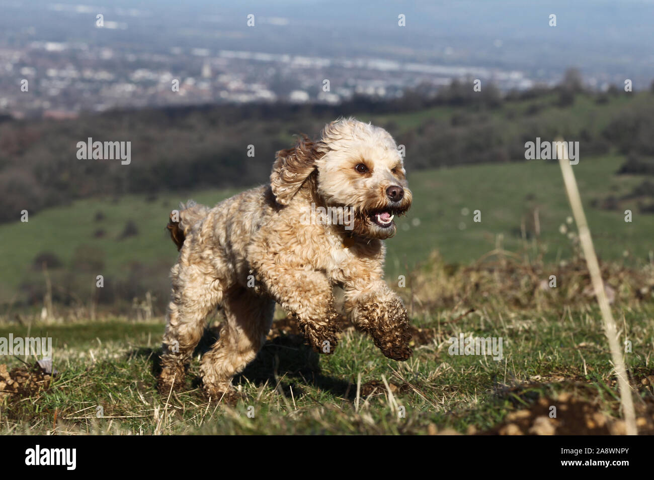 Running on chippings hi-res stock photography and images - Alamy
