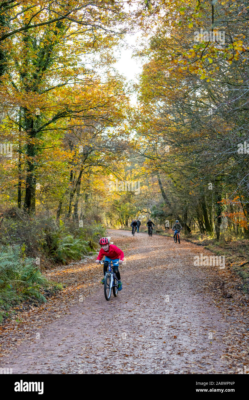 Families having fun on the former rail line now a Family Cycle and