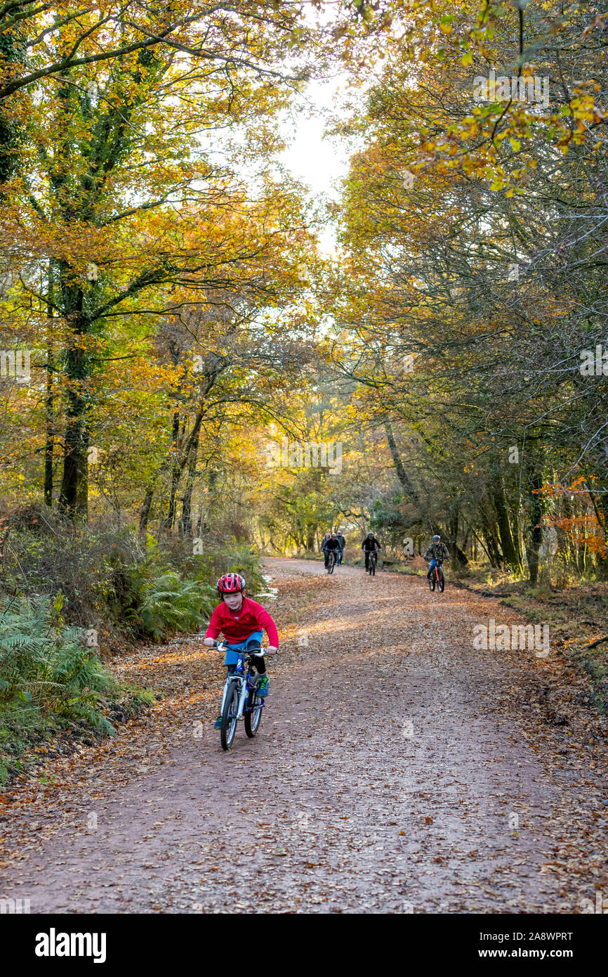 forest of dean family cycle trail