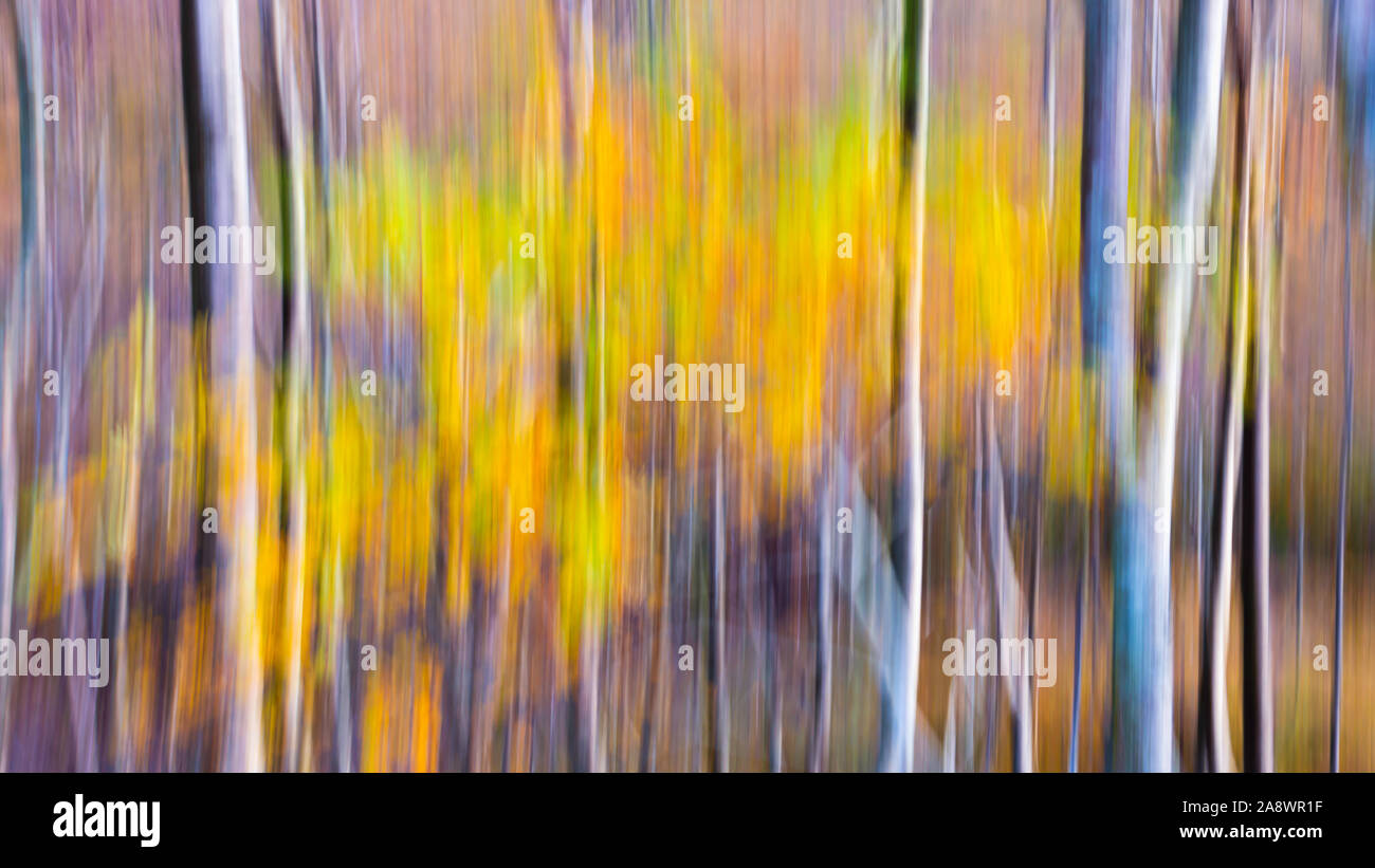 Icm technique hi-res stock photography and images - Alamy