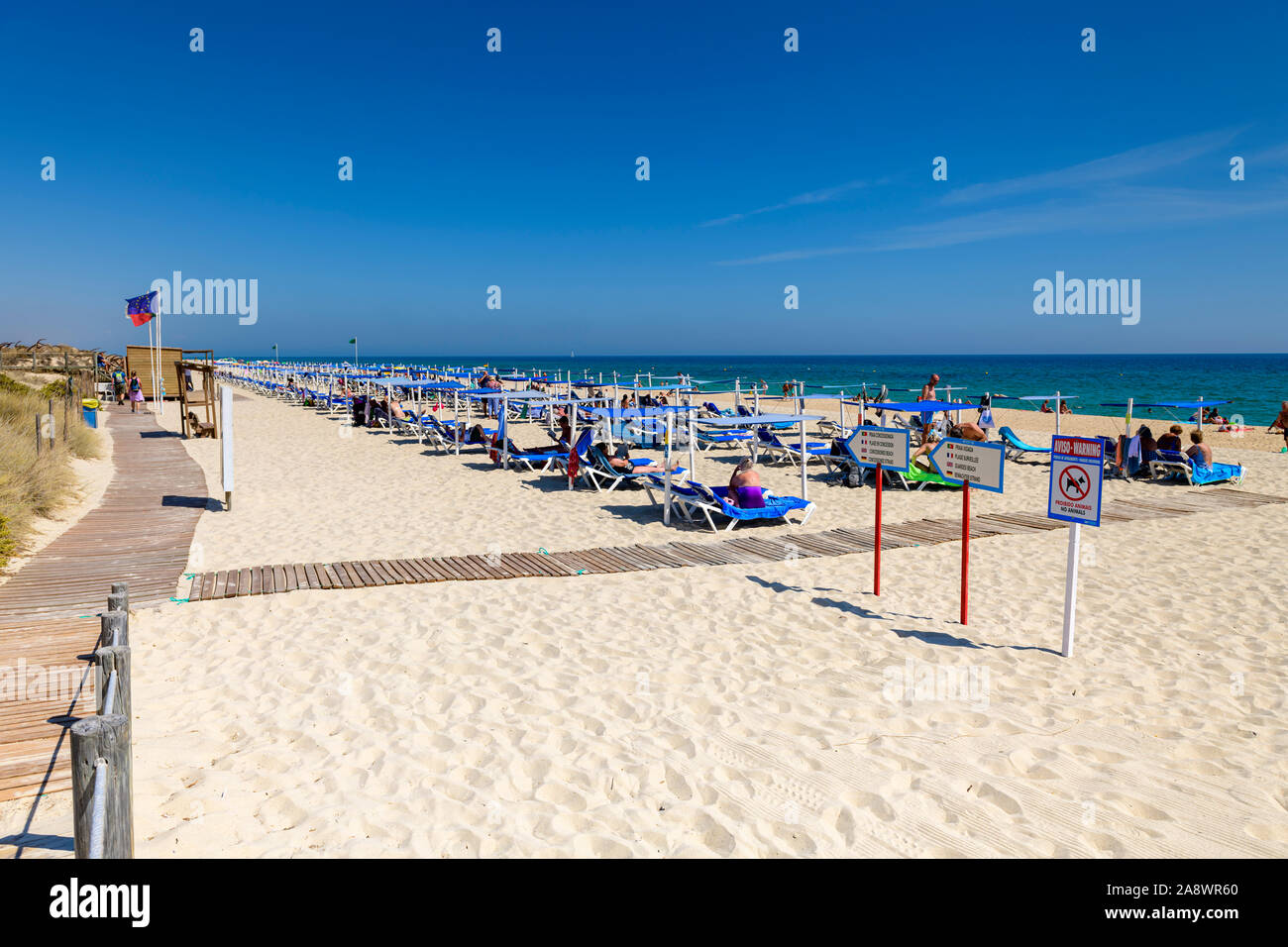 Sun loungers lined up on the beautiful sandy Algarve Barril beach, Santa Luzia Algarve, Portugal. Stock Photo