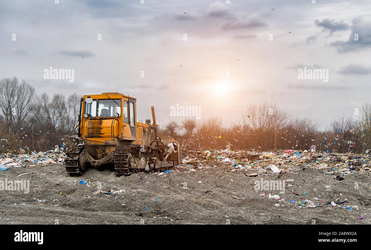 bulldozer working on landfill with birds in the sky Stock Photo