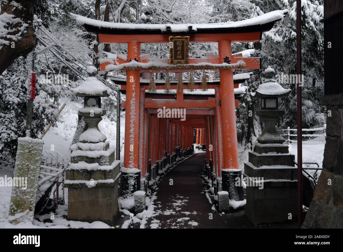 Torii gates at the Fushimi Inari Taisha shrine in Kyoto Stock Photo - Alamy