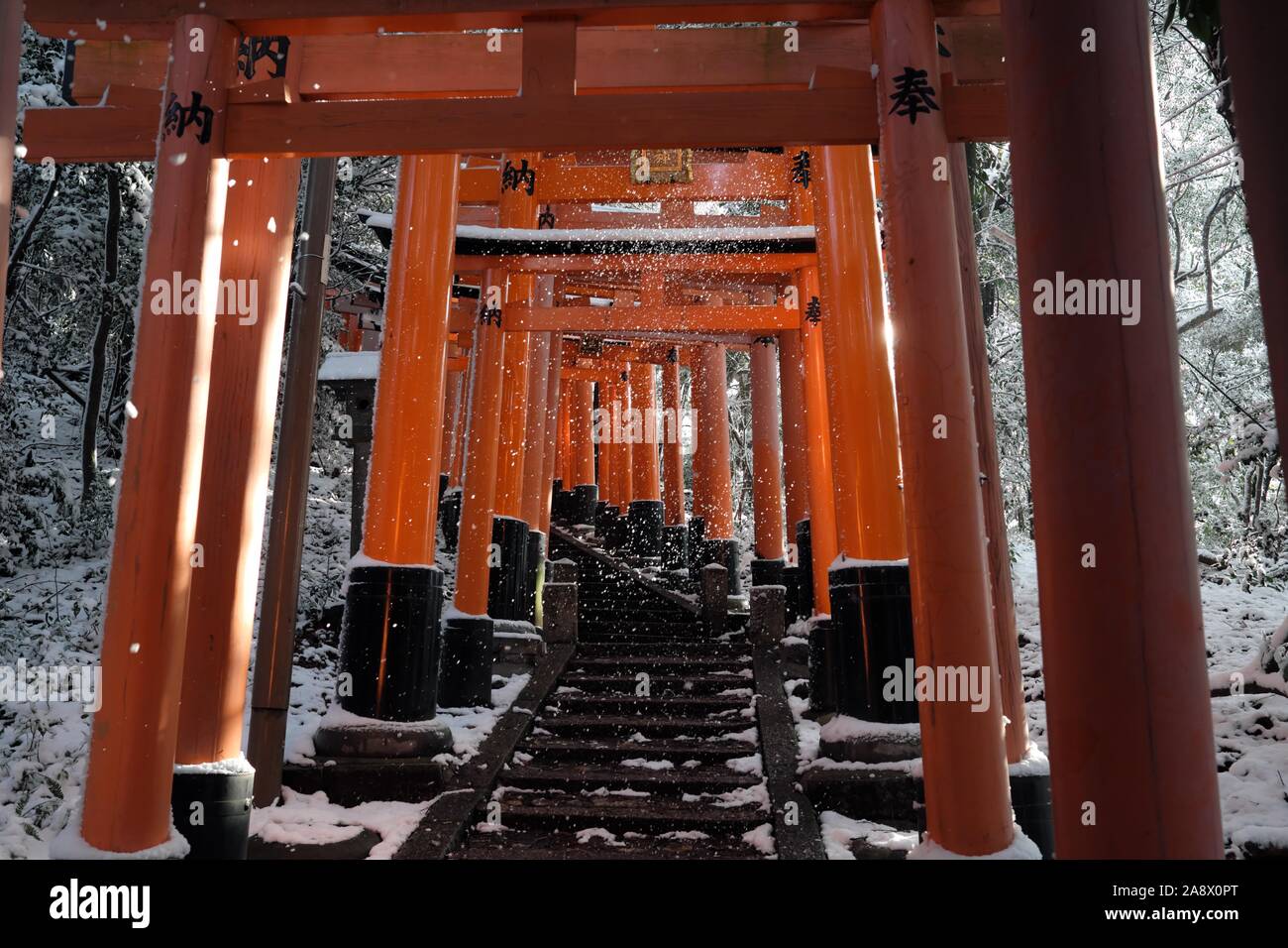 Torii gates at the Fushimi Inari Taisha shrine in Kyoto Stock Photo - Alamy