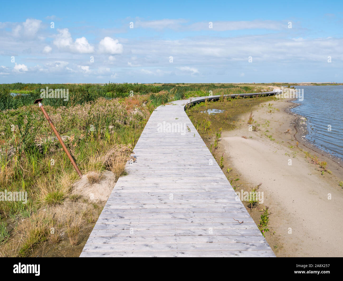 Boardwalk footpath of nature trail on manmade island of Marker Wadden in Markermeer, Netherlands Stock Photo