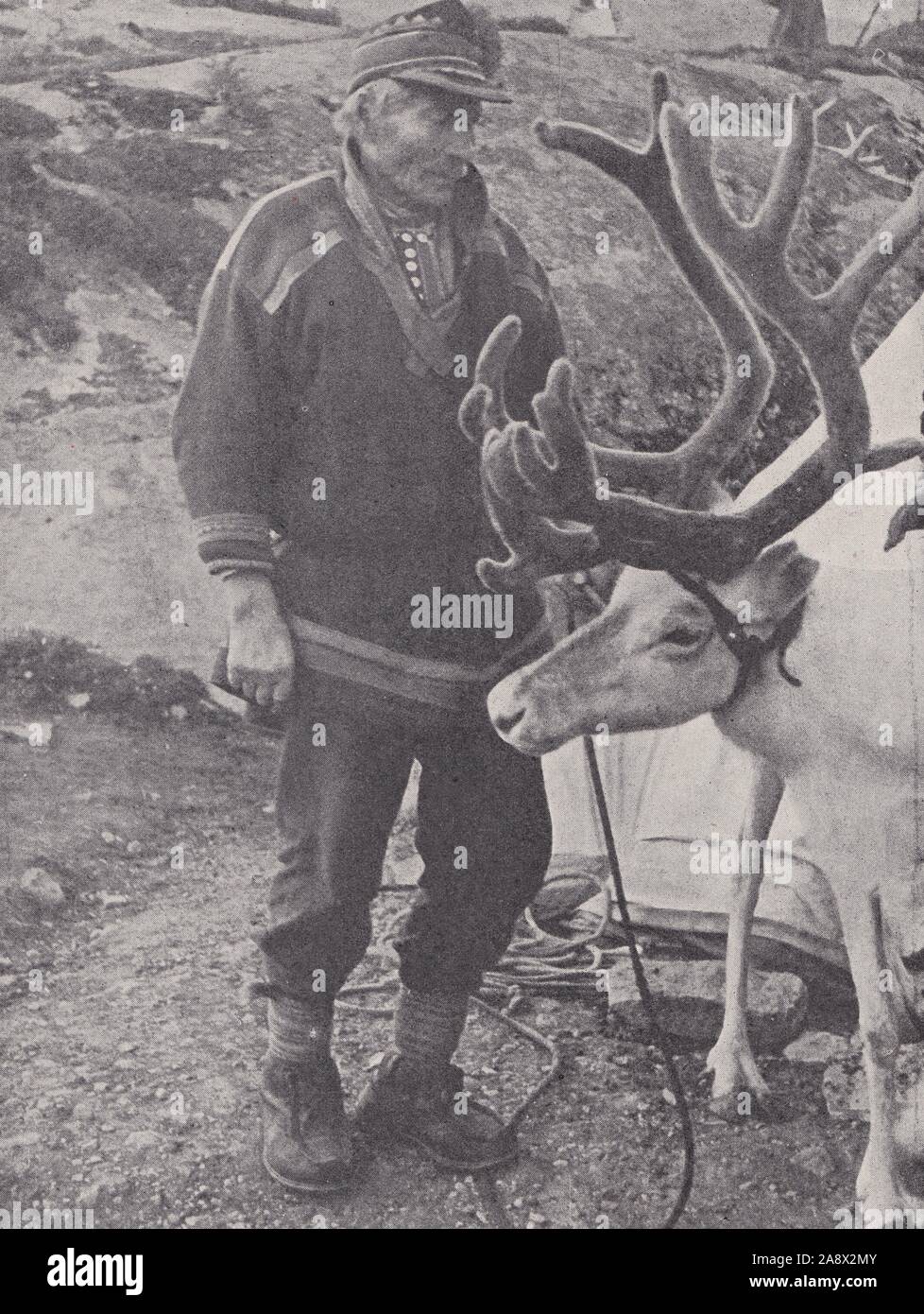 Old Lapp posing for photo with his reindeer in Lapland 1930s Stock