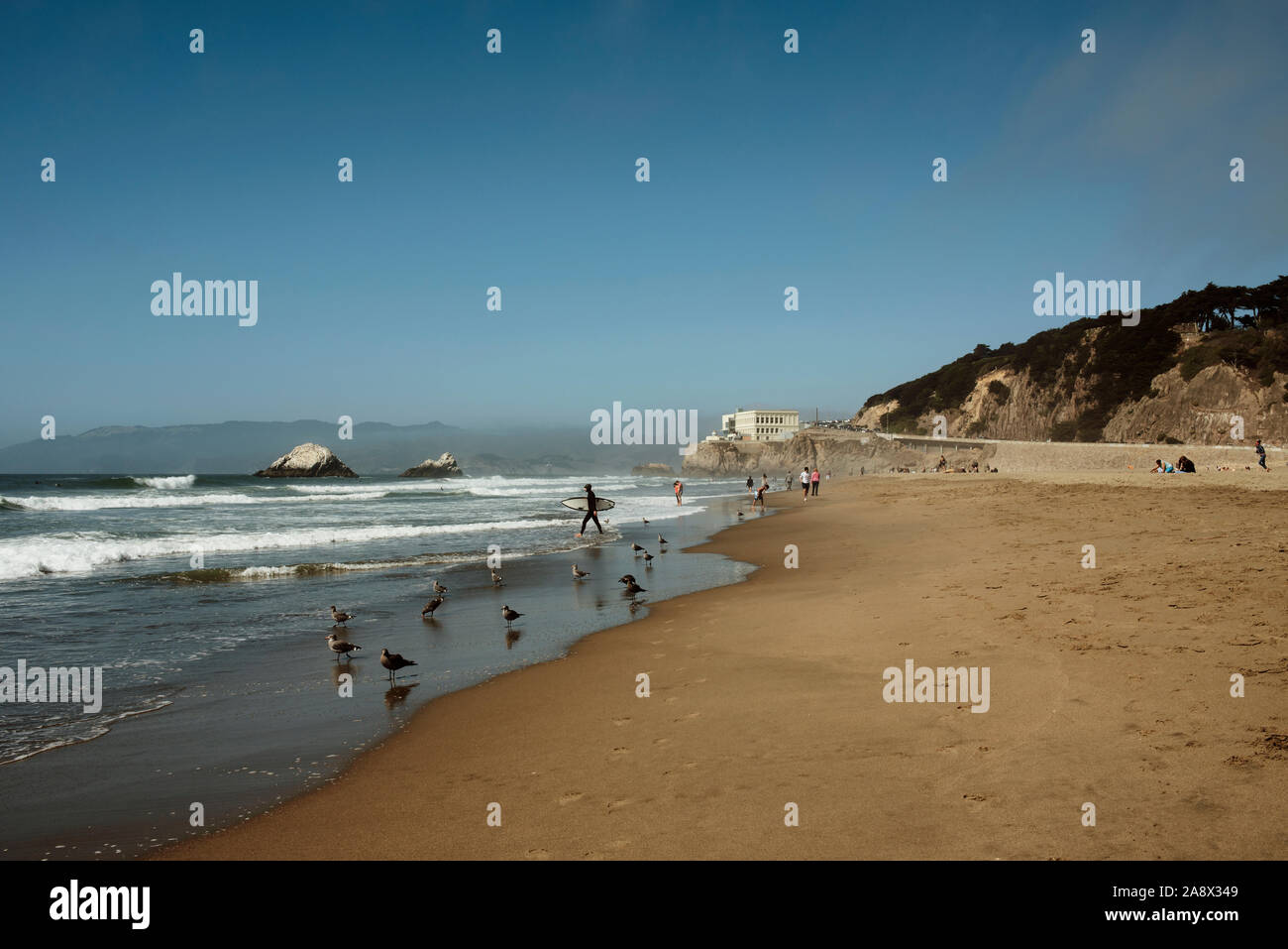 Coastal landscape with birds and a surfer walking in to the water. Ocean Beach, San Francisco, California, USA. Sep 2019 Stock Photo