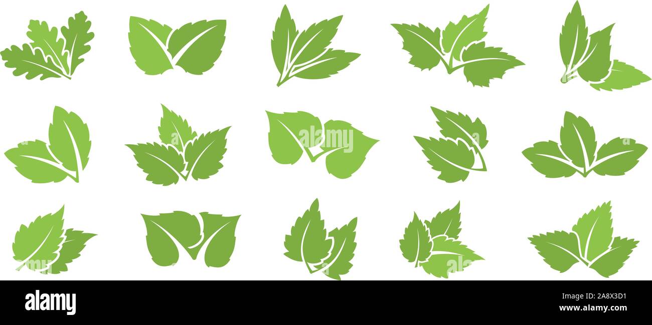 Green leaf set Stock Vector Image & Art - Alamy