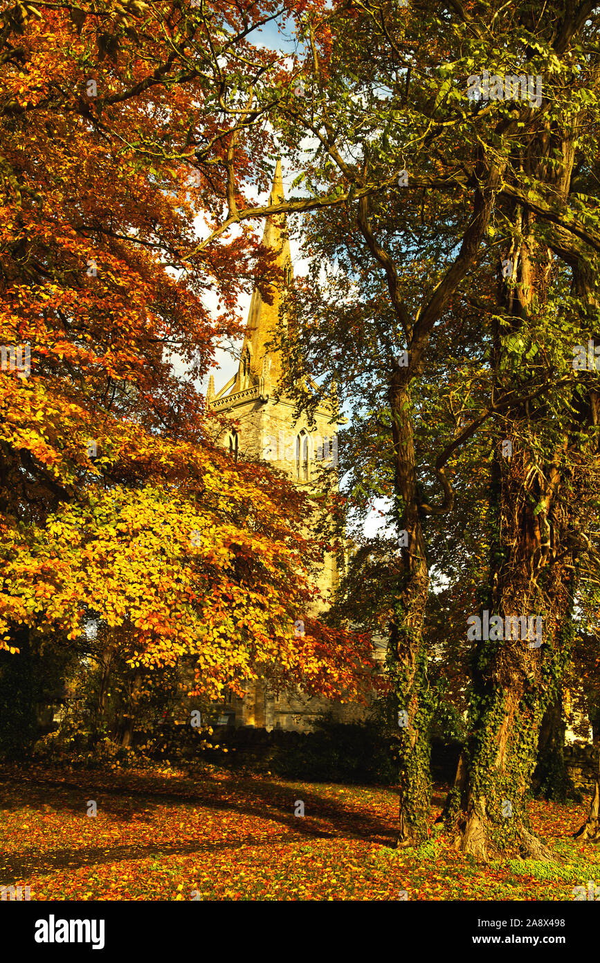 Tower and spire of  St Peter's Church, Sharnbrook, Bedfordshire, UK, surrounded by trees in their autumn colours Stock Photo