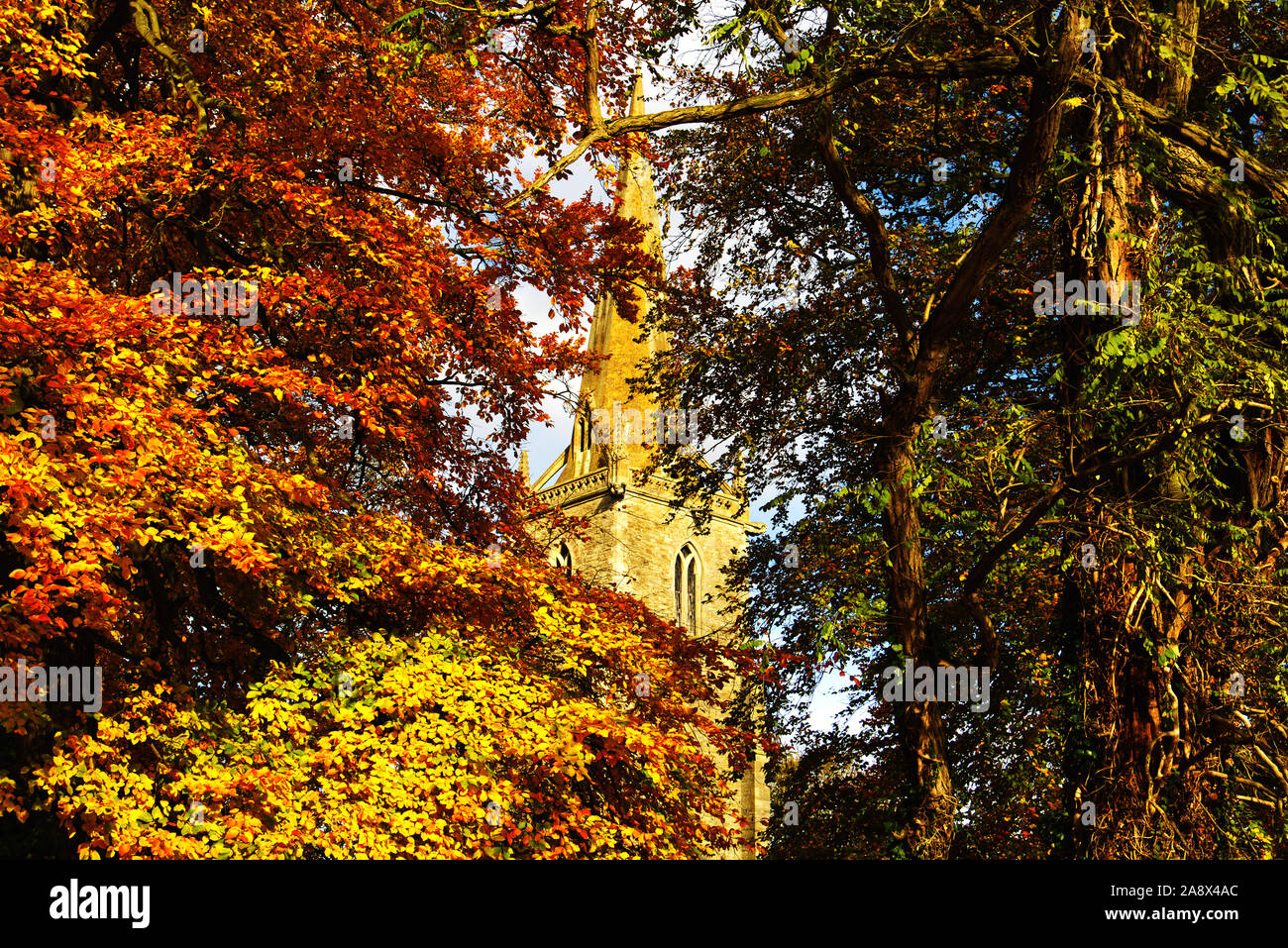 Tower and spire of St Peter's Church, Sharnbrook, Bedfordshire, UK, surrounded by trees in their autumn colours Stock Photo