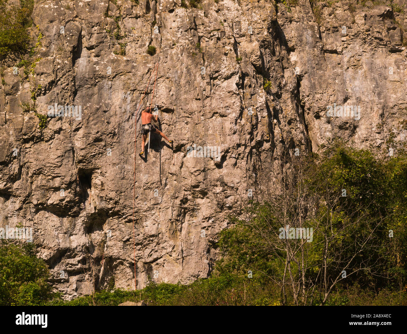 Bare chested man climbing limestone rock of Cheddar in Mendip