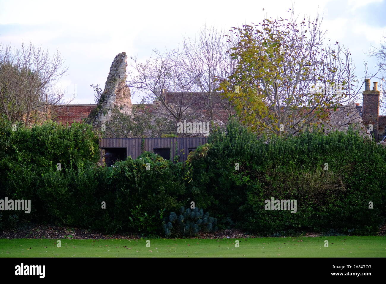 Lewes, East Sussex, UK. 11th Nov 2019.  600 tonne part of Lewes Castle boundary wall collapses onto properties in Castle Ditch Lane, Lewes. Photo shows the part of the collapse into a garden, but the majority of the rubble fell 10 meters into a property the other side. Credit: Peter Cripps/Alamy Live News Stock Photo
