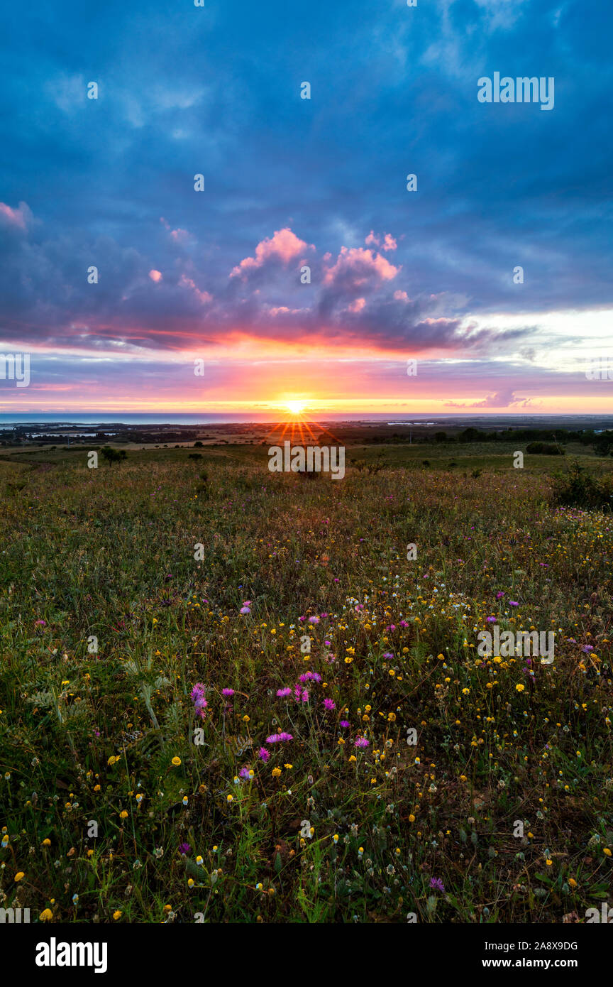 Sunset on the horizon with sky over a rural field and the sea in the background. Sunset, Sunrise over rural meadow field. Countryside landscape with s Stock Photo