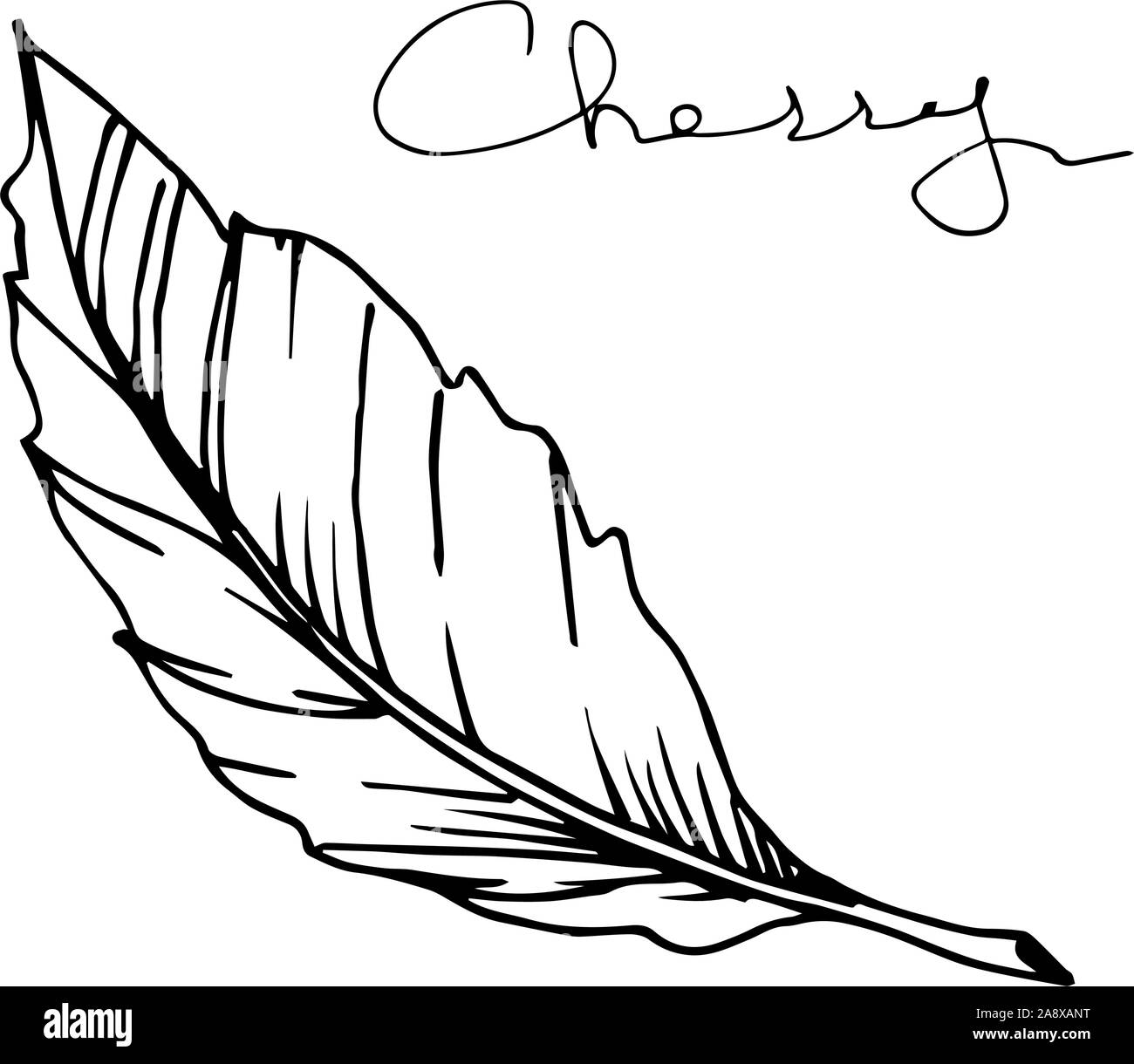 Vector Cherry leaf. Black and white engraved ink art. Isolated berry ...
