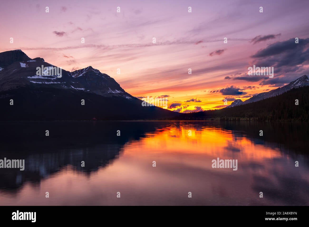 Sunset Bow Lake, Banff National Park Stock Photo