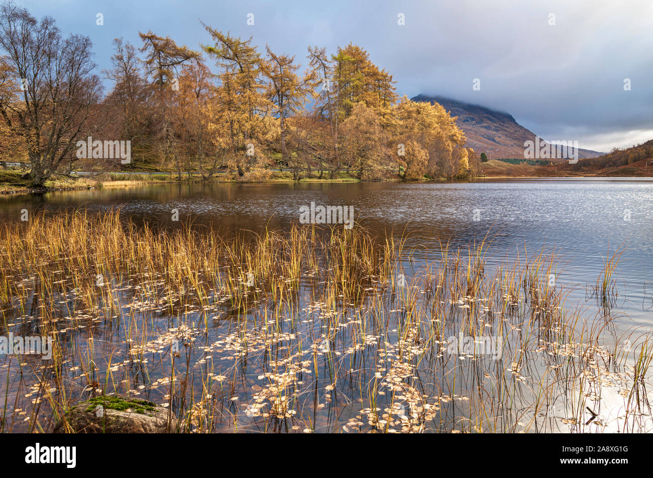 A 4 shot HDR image of An Dubh Lochan in autumnal colours with Stob Coire Sgriodain in the background, Glen Spean, Scotland. 4 November 2019 Stock Photo