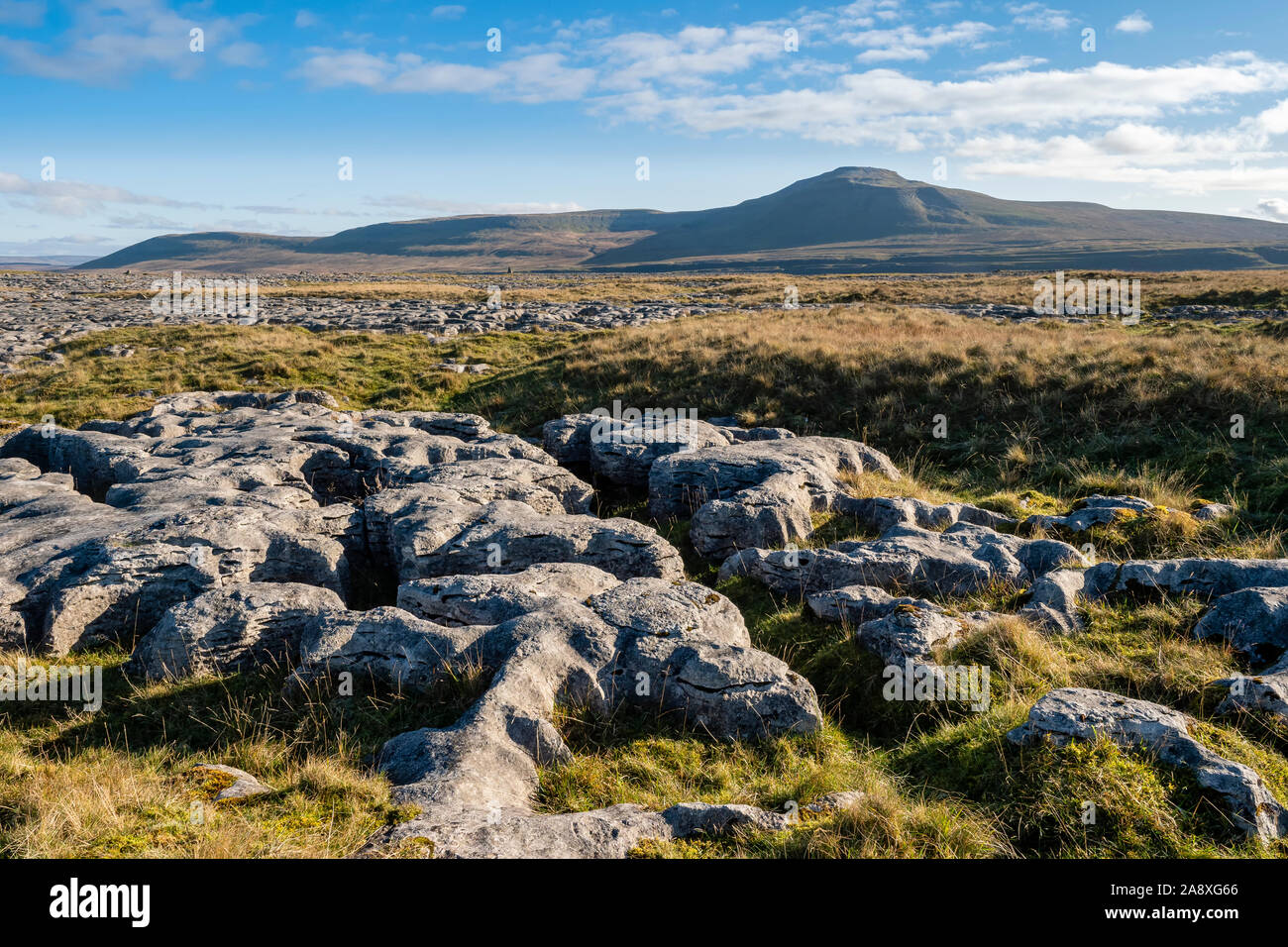 The Yorkshire Three Peaks Challenge takes on the peaks of Penyghent