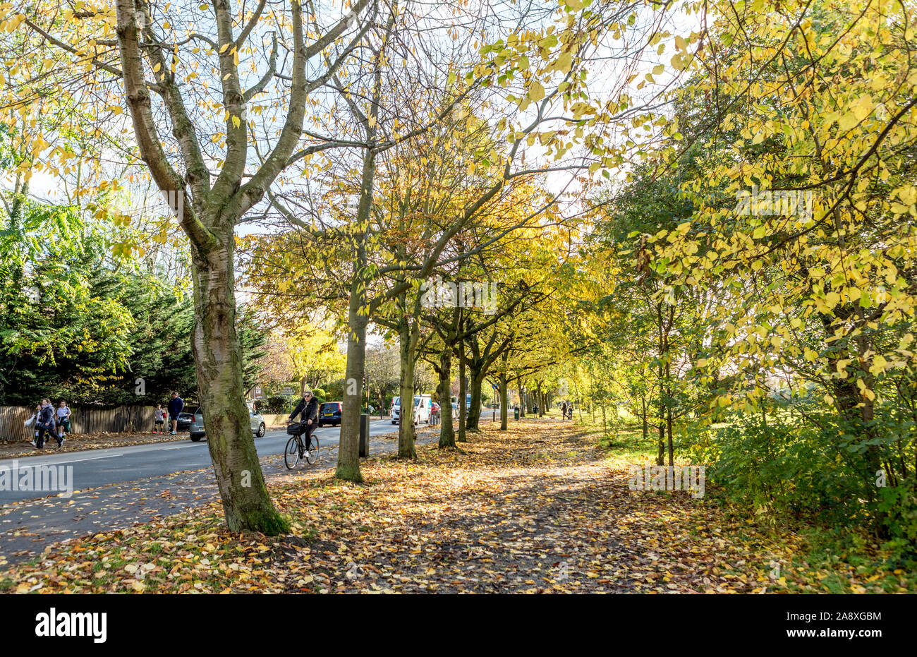 History of wandsworth hires stock photography and images Alamy