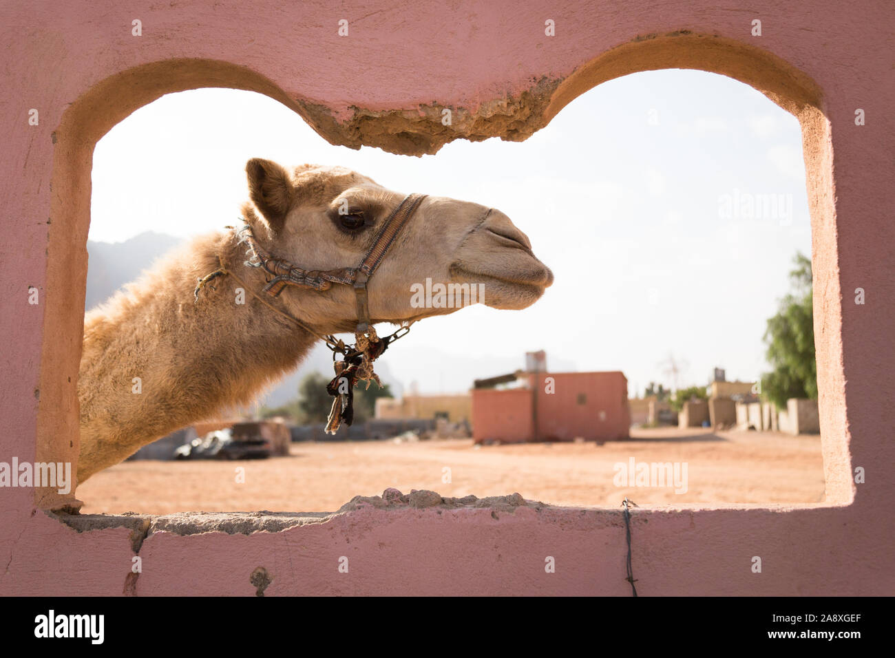 Wadi Rum Desert in Jordan Stock Photo