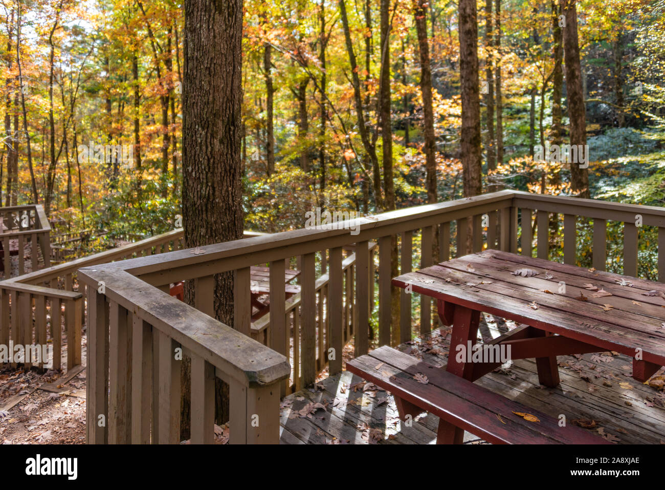 Unicoi State Park Autumn Stock Photos Unicoi State Park Autumn
