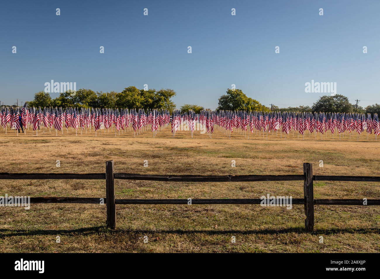 Biden arlington cemetery veterans day 2024