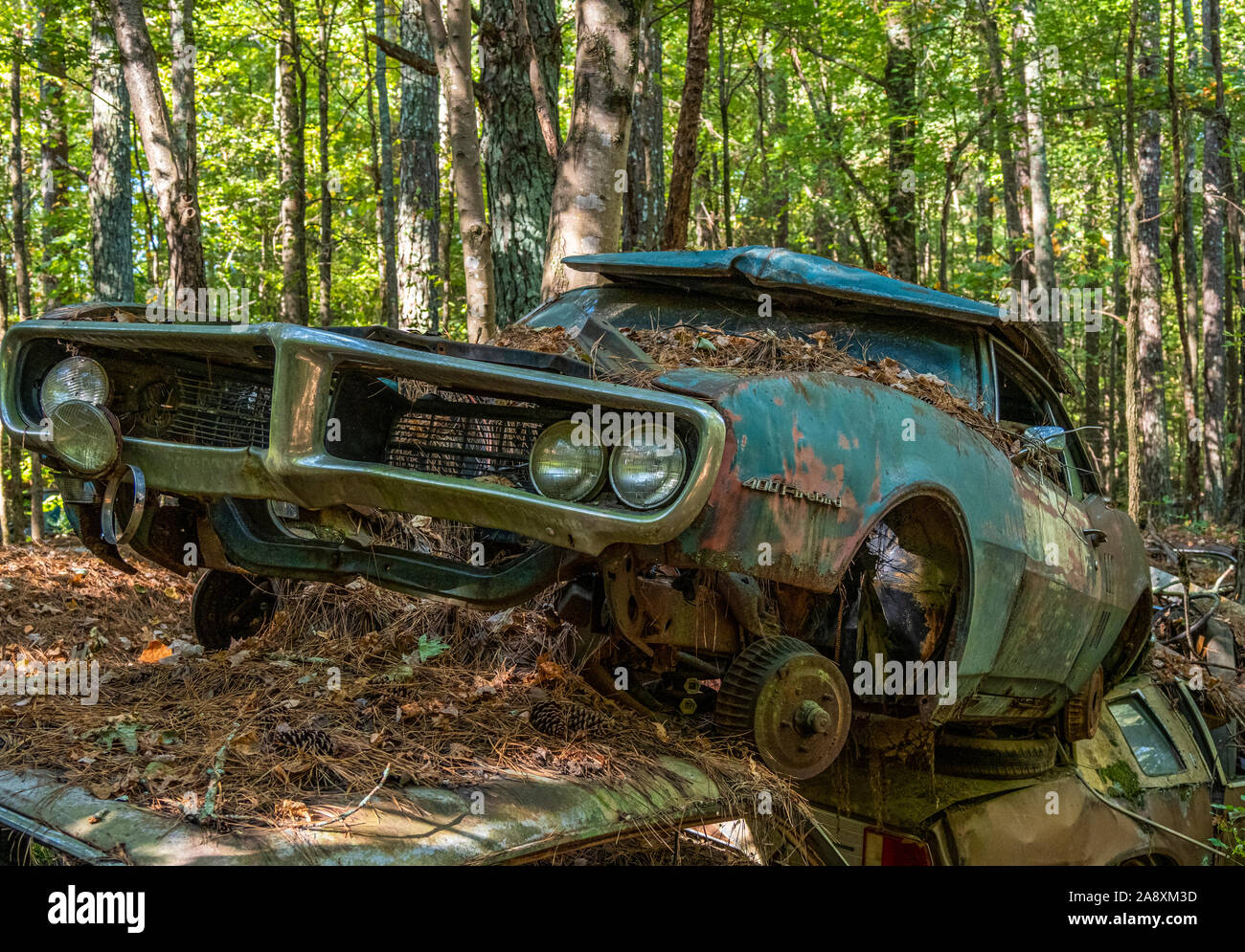 Old rusted abandoned vehicles in Old Car City junkyard in White