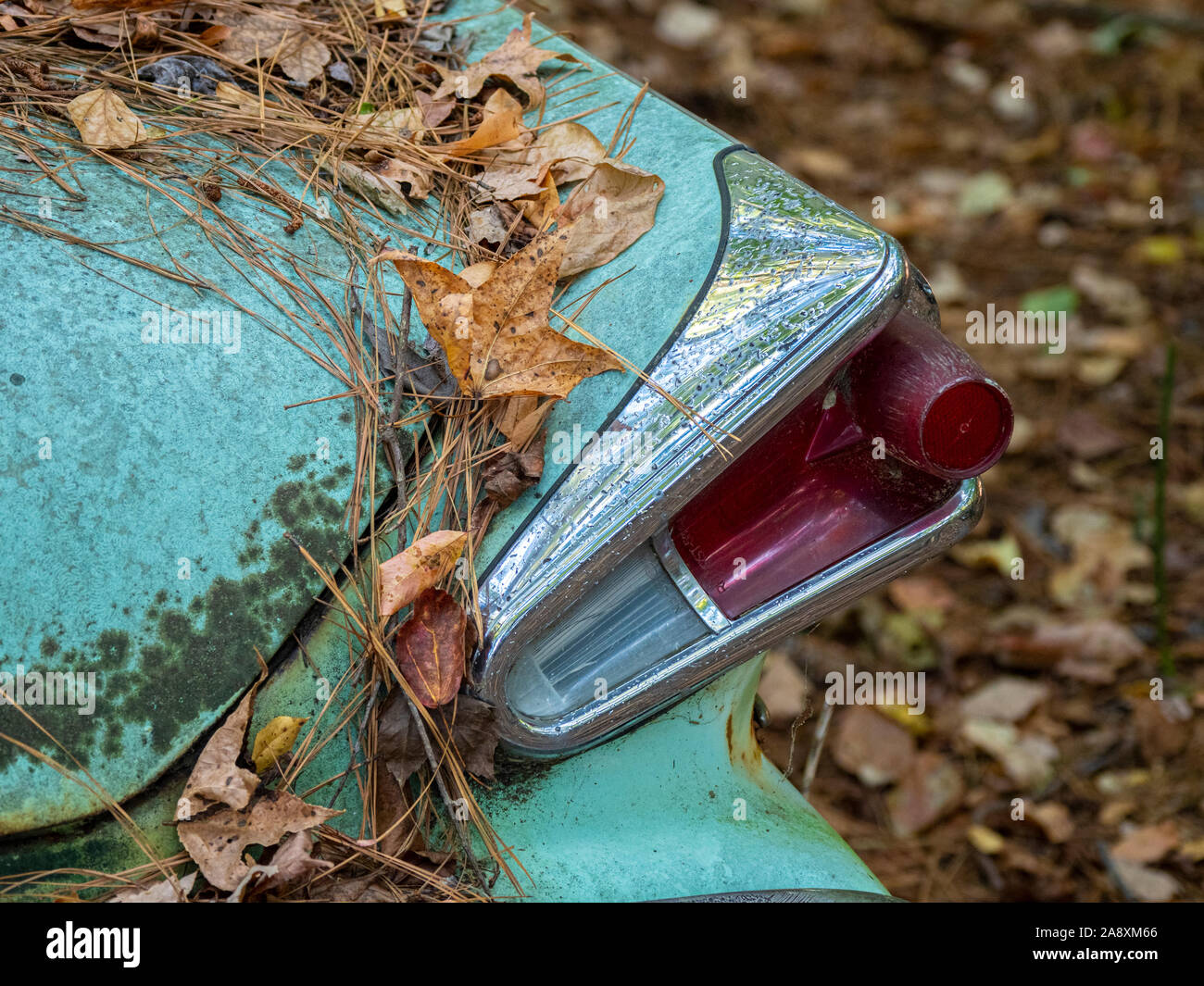 Old rusted abandoned vehicles in Old Car City junkyard in White Georgia