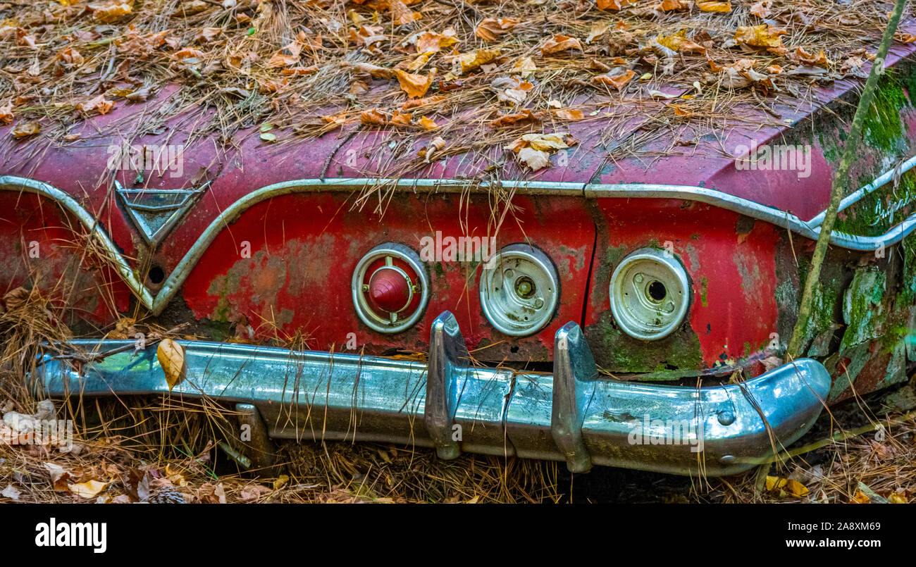 Old rusted abandoned vehicles in Old Car City junkyard in White Georgia