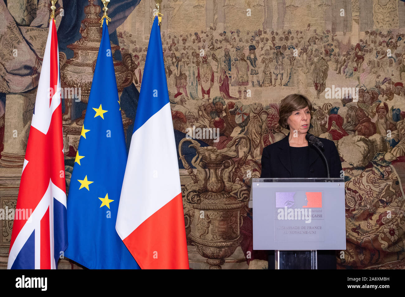 French ambassador the uk catherine colonna makes hires stock